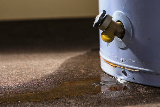 Best Commercial water damage restoration  in Winlock, WA