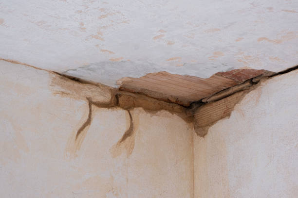Best Fire Damage Restoration  in Winlock, WA