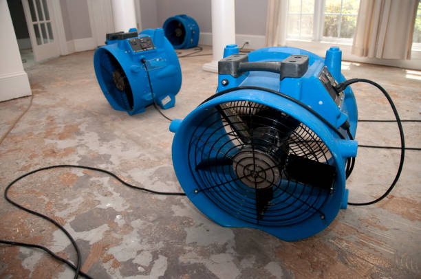 Best Water damage cleanup near me  in Winlock, WA