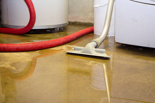 Best Water damage contractors near me  in Winlock, WA