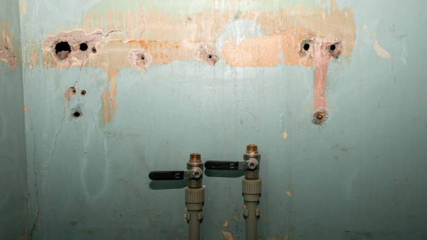 Best Sewage cleanup and water damage restoration  in Winlock, WA