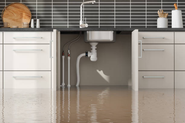Best Emergency water extraction  in Winlock, WA