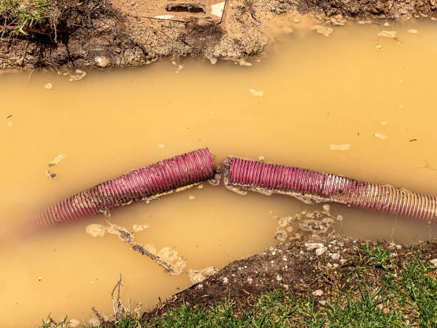  Winlock, WA Water damage restoration Pros