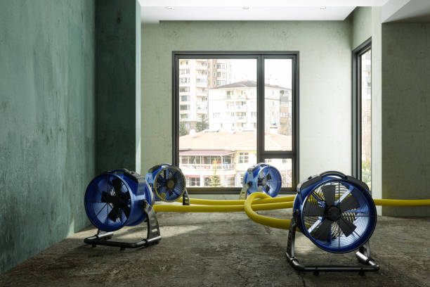 Local water damage restoration in WA